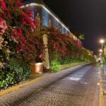 El Rebaje 3 noche