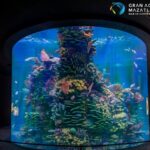 Acuario Mazatlan Mar Cortes 3