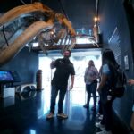 Museo de la Ballena